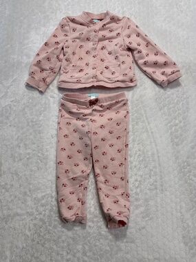 Obaibi Pink floral cardigan and Pants Set toddler girl size 3 outfit